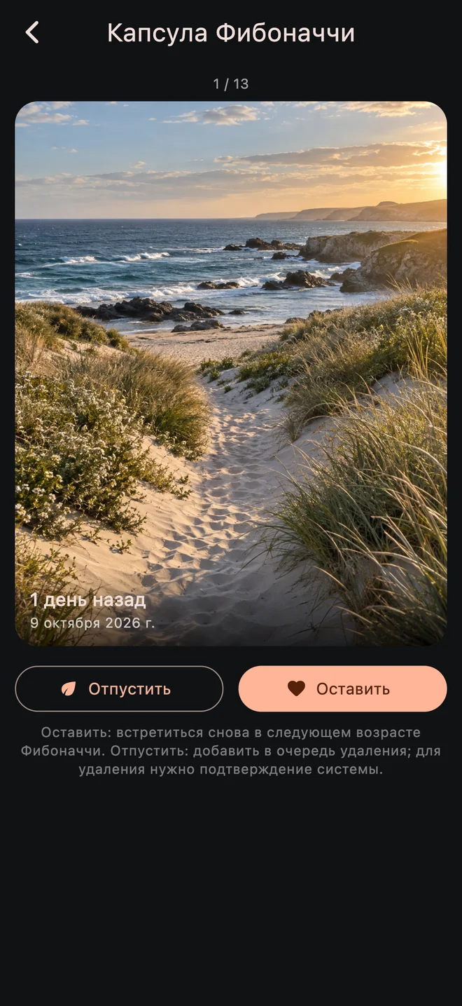 Интерфейс «Капсулы Фибоначчи» InfiniteVault с примером фотографии-воспоминания